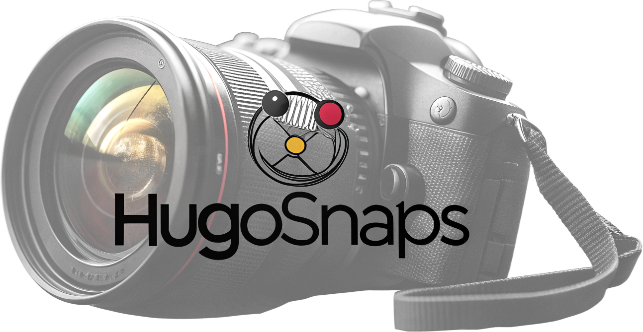 Hugo Snaps